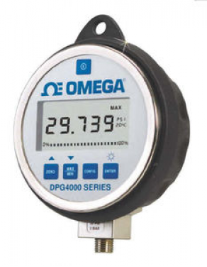 Digital pressure gauge - max. 10 000 psig | DPG4000