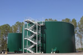 Biogas cogeneration plant