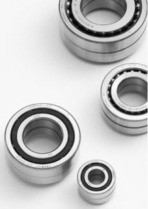 Support bearing / ball screw