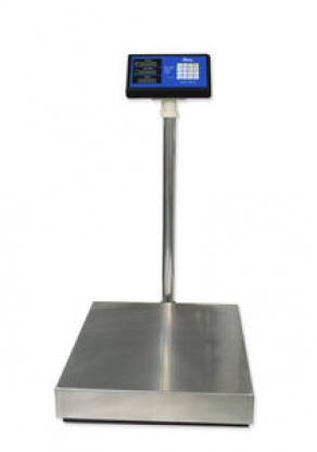 Platform scale / stainless / metallic - 300 kg | 55059530