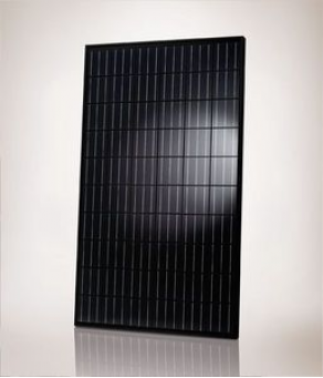 Monocrystalline photovoltaic module / black - 235 - 255 Wp | Q.PEAK BLK series