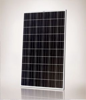 Monocrystalline photovoltaic module - 245 - 265 Wp | Q.PEAK series