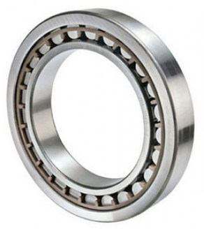 Cylindrical roller bearing / with cage