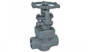 Globe valve / wrought steel - max. DN 50 | ECOLINE GTF 800