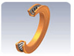 Ring lip seal / with spring - OmniSeal® SES series