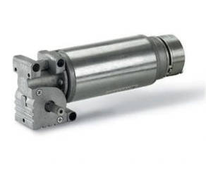 DC electric gearmotor / permanent / worm gear - 50 - 100  W, 12 - 24 V | AOMPI25