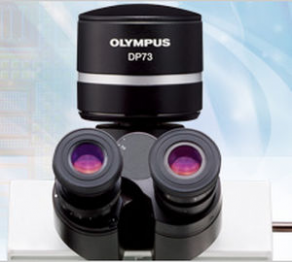 Digital camera / for microscopes - 17.28 Mpix | DP73