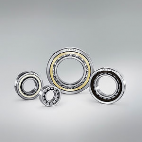 Cylindrical roller bearing - NSKHPS