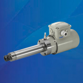 Drilling motor spindle / milling - TSE