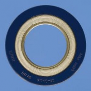 Spiral seal / graphite - max. 320 bar, -200 °C ... +550 °C