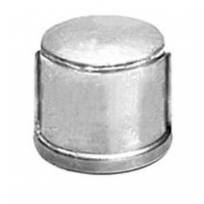 Stainless steel plug - DN15 - DN50, 1/2" - 2" | BF-SW series