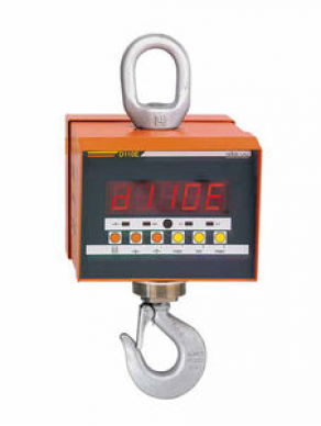 Electronic crane scale - 1 - 50 t, 0.2 - 10 kg | D110E series 