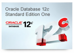Database software - Oracle Database 12c Standard Edition One