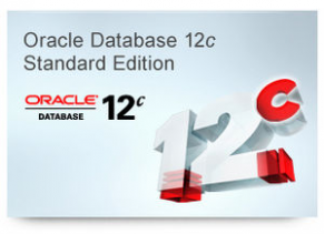 Database software - Oracle Database 12c Standard Edition