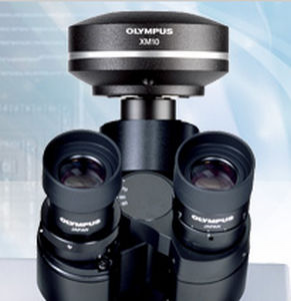Digital camera / CCD / full color / for microscopes - XM10