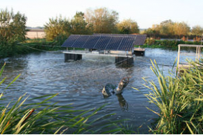 Surface aerator / for wastewater treatment / floating - SOLAIRMAX