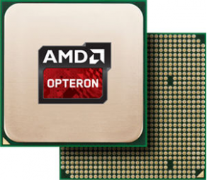 Microprocessor server - AMD Opteron&trade; 3000 series