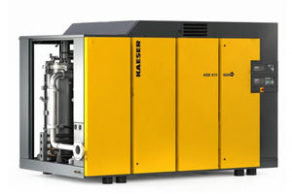 Screw compressor / stationary / direct-drive - 816 - 3 044 cfm, max. 217 psig | HSD series