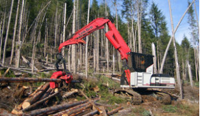 Swing arm log loader - 87 020 lbs | 290 X2