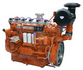 Biogas generator set - 230 - 238 kW | FG 240 