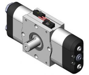 Hydro-pneumatic actuator / rotary - 750 Ncm, 6 bar, max. 365° | DAD series