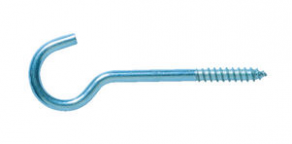 Hook screw