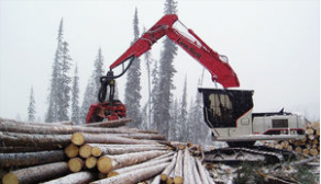 Swing arm log loader - 62 383 lbs | 210 X2