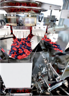 Multihead weigher for bulk - 40 cpm | RCW 10 45