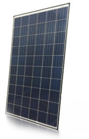 Polycrystalline photovoltaic module / dual-glass - 250 - 260 W | Diamond CS6K-P-PG