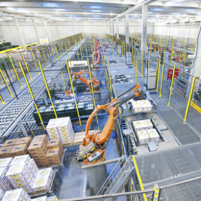 Pallet conveyor - End-of-Processing-Line Palletising DEMATIC