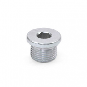 Threaded plug / stainless steel - DIN 908