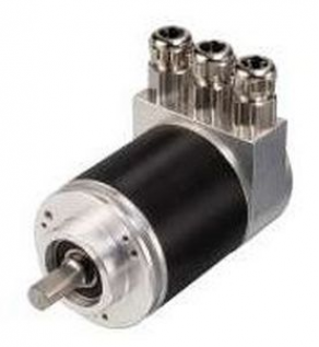 Absolute rotary encoder