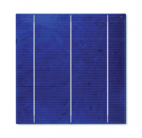 Polycrystalline photovoltaic solar cell - 156 x 156 mm | CA50-L series