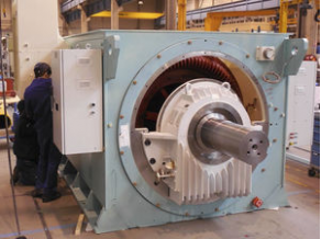 Squirrel cage induction motor