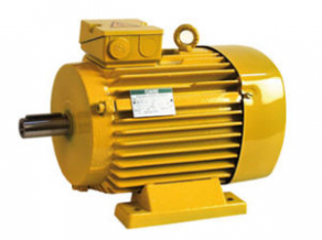 Synchronous electric motor / three-phase - max. 3000 rpm, 2 kW | DSG P series