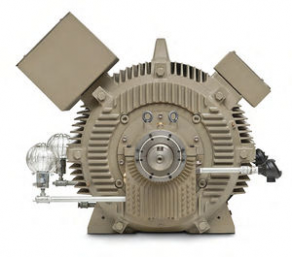 Medium-voltage AC induction motor - 250 - 800 hp, 460 - 6 600 V | Quantum&trade; LMV