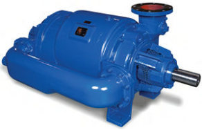 Liquid ring vacuum pump / two-stage