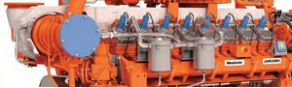 Cogeneration plant - 230 - 1 000 KW | HCPK series