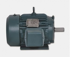 Asynchronous electric motor / AC / heavy-duty - 208 - 575 V, max. 700 hp | CM111